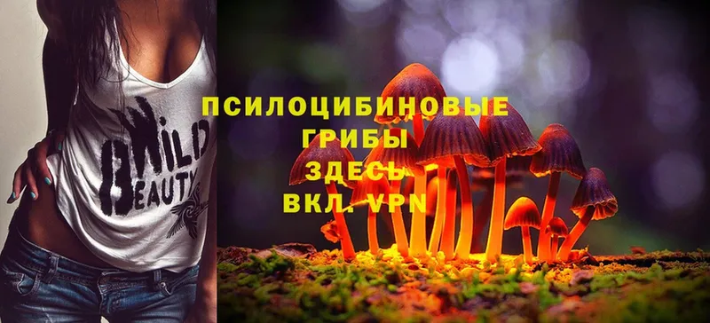 Галлюциногенные грибы Psilocybine cubensis  МЕГА маркетплейс  Велиж 